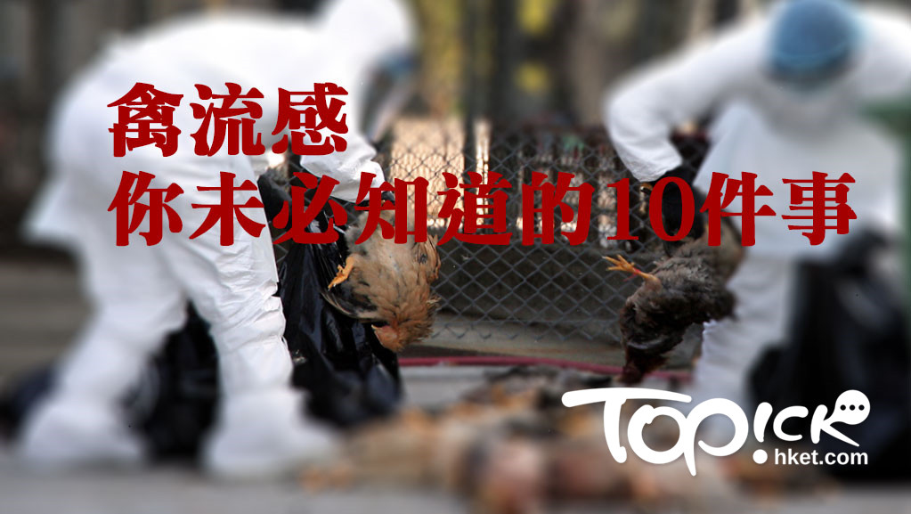 禽流感19年來殺左幾多人你知唔知?