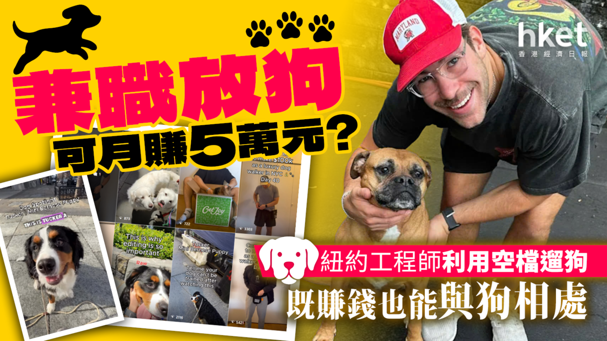 兼職放狗可月賺5萬元?紐約工程師利用空檔遛狗 既賺錢也能與狗相處